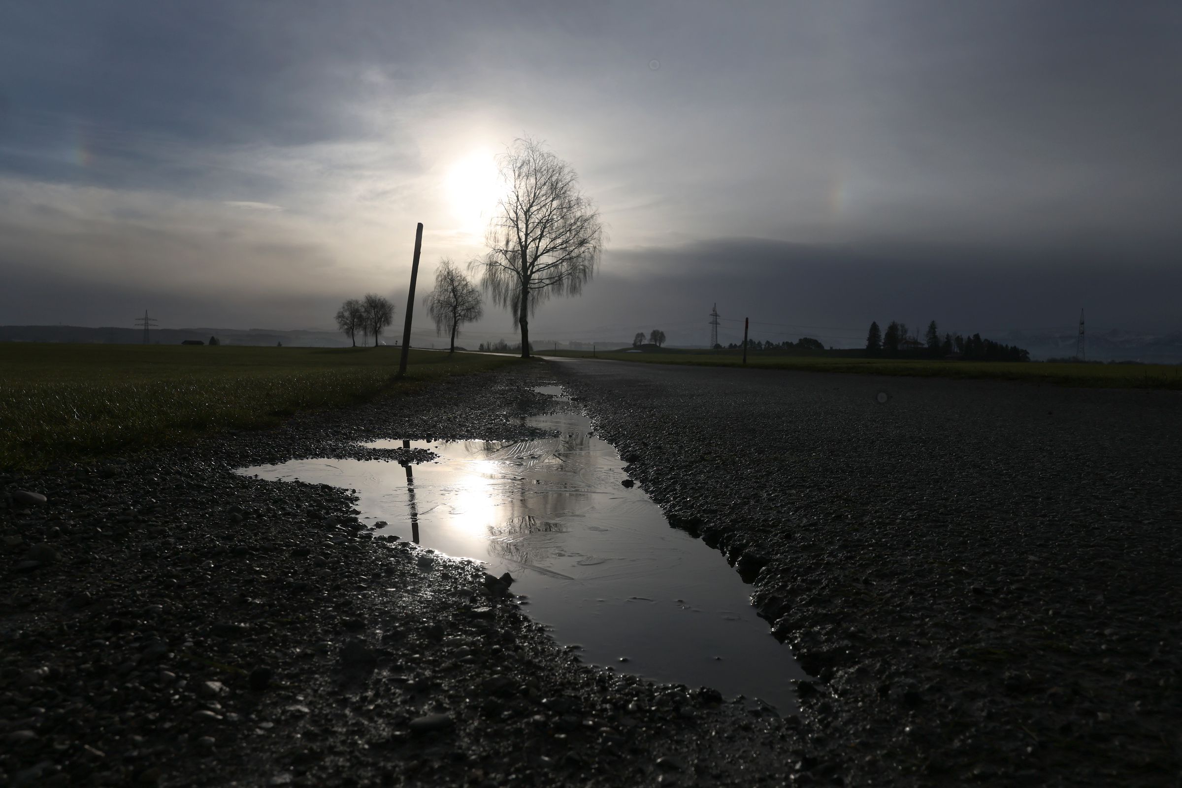 A thin layer of ice thaws on a puddle in the sunshine.