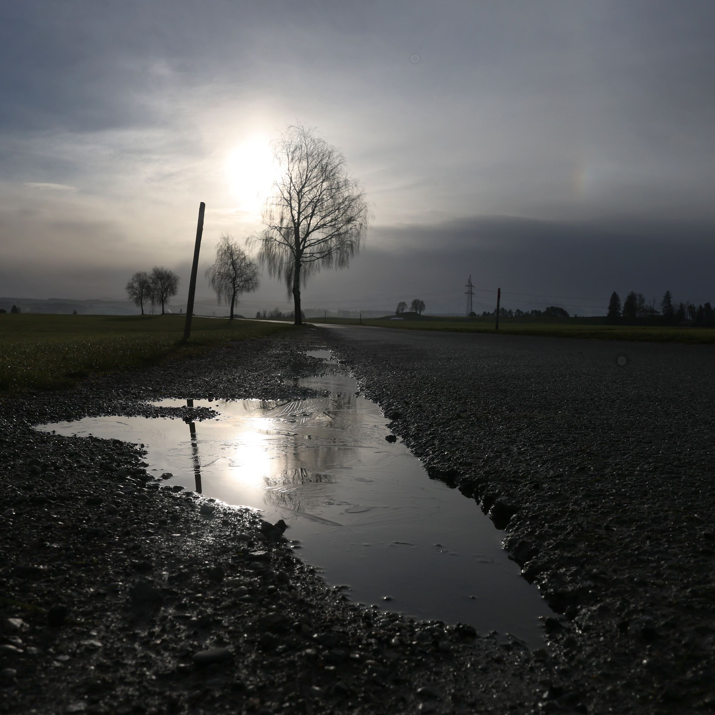 A thin layer of ice thaws on a puddle in the sunshine.